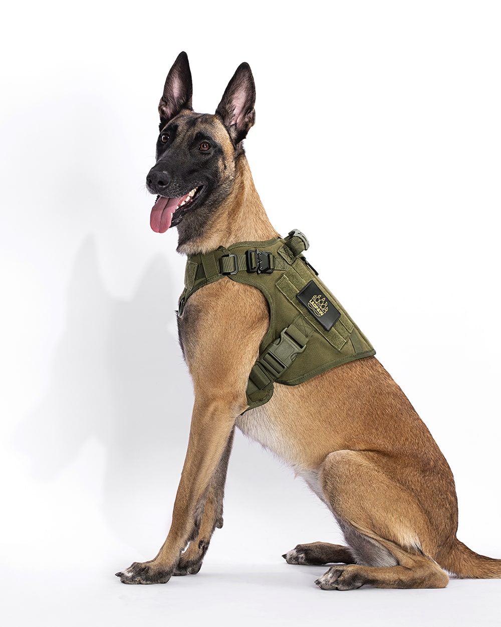 tactical dog harness green