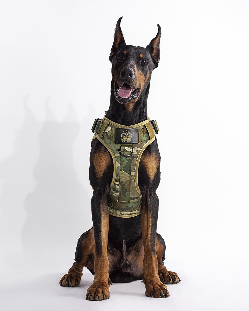 the best dog harness in the world
