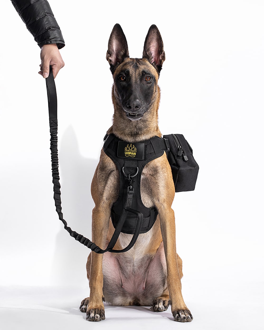 TACTICAL DOG GEAR ULTIMATE PACK