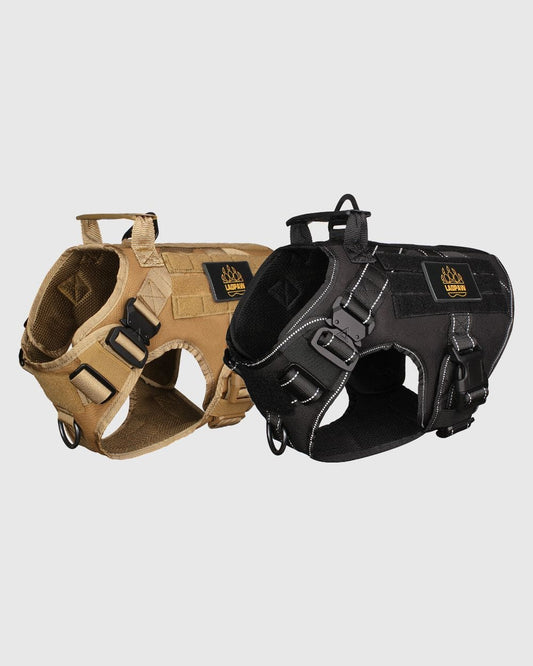 HARNESS 2-PIECE BUNDLE